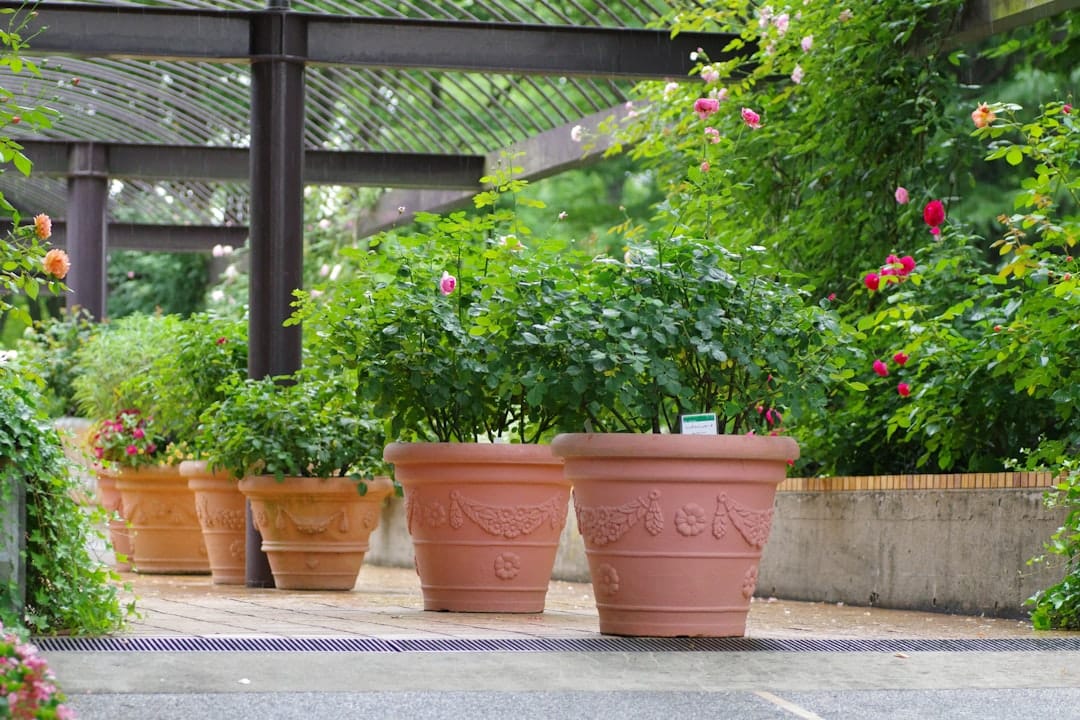 Photo Tuinieren in Potten